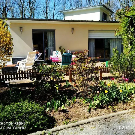 Holly Wood Homestay *