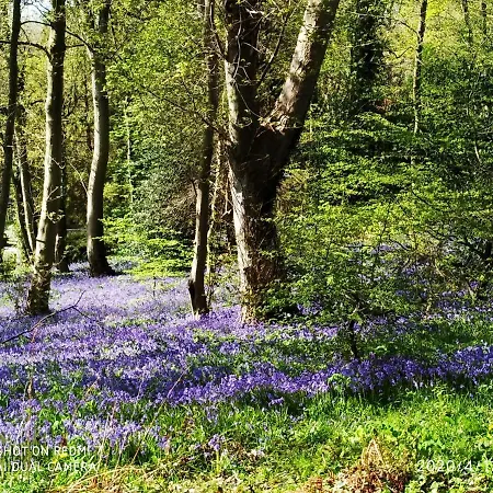 Séjour chez l'habitant Holly Wood Ault