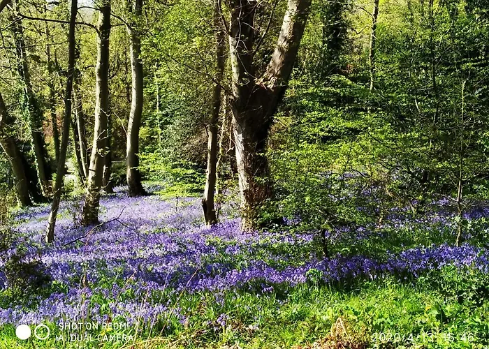 Homestay Holly Wood Ault